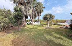 Dénia, Valencia 03700