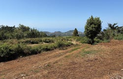 Tacoronte, Canary Islands