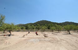 Pinoso, Valencia 03650