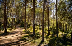 Xaló, Valencia 03727