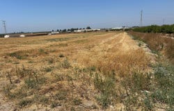 Utrera, Andalusia 41710