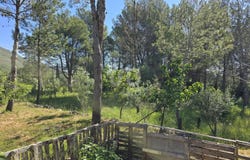 Portimão, Valencian Community 03788