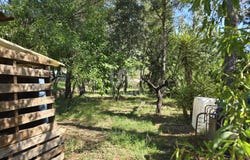 Portimão, Valencian Community 03788