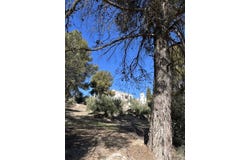 Unnamed Road, Alcaudete, Andalusia 23660