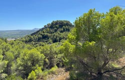 Jávea, Valencian Community 3730
