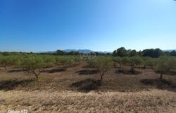 Ginestar, Catalonia 43748