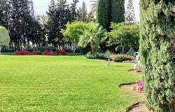 Guadalmina Baja, Marbella, Malaga
