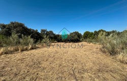 Valdemorillo, Community of Madrid 28210