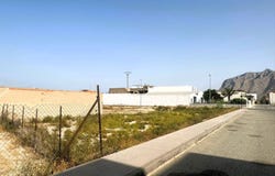 Cox, Valencia 03350