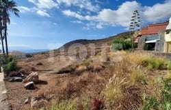 Tenerife, Canarias|Canary Islands