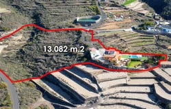 San Miguel de Abona, Canary Islands 38629