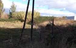 Murcia, Region of Murcia