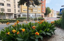 Valencia/València, Valencian Community 46760
