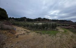 Alpicat, Lleida