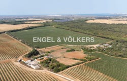 Puerto Real, Andalusia 11510