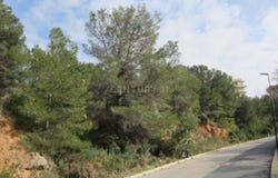 Altea, Valencian Community