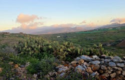 Antigua, Canary Islands 35610