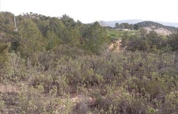 Relleu, Valencian Community