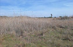 Puig, Valencian Community