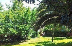 Vigo, Galicia 36200