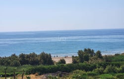 Castellón/Castelló, Valencian Community 12595