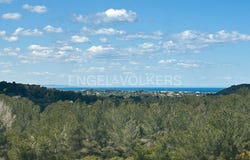 Dénia, Valencian Community 03749