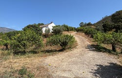 Estepona, Andalusia