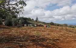 Arucas, Canary Islands 35411