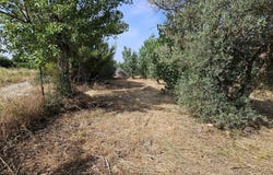 Hormigos, Castile-La Mancha 45919