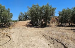 Illar, Andalusia 04431