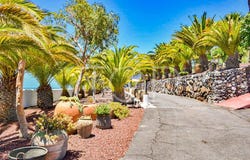 Puerto de Santiago, The Canary Islands 38683