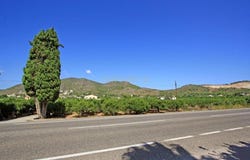 Pego, Valencian Community