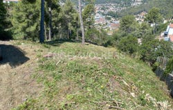 Cervelló, Catalonia 08758