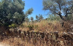 Sierra de Fuentes, Extremadura