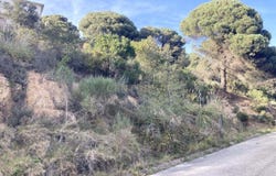 Lloret de Mar, Catalonia