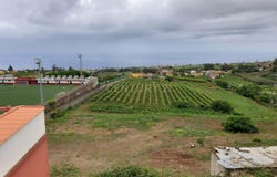 Tacoronte, Canary Islands