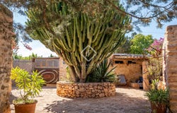 Cap de Barbaria, Balearic Islands 07870