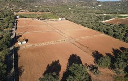 Sant Carles de la Ràpita, Catalonia