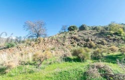 Torrox, Andalusia 29770