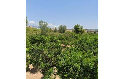 Cullera, Valencian Community