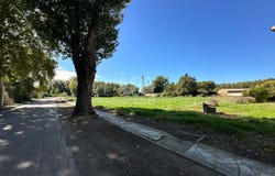 Zaragoza, Aragon 50619