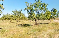 Ulldecona, Catalonia 43550