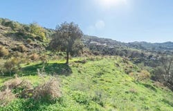 Torrox, Andalusia 29770