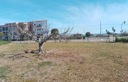 Moraleja, Extremadura
