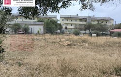 Vinaros, Valencian Community 12500