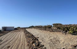 Santa Cruz de Tenerife, Canary Islands 38613