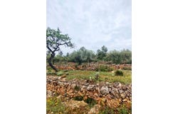 Tarragona, Catalonia 43746