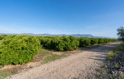 La Galera, Catalonia 43515