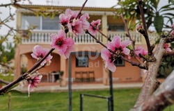 Tarragona, Catalonia 43880