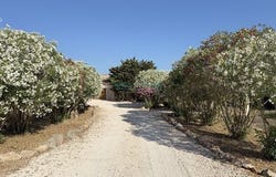Balears (Illes), Illes Balears|Baleares